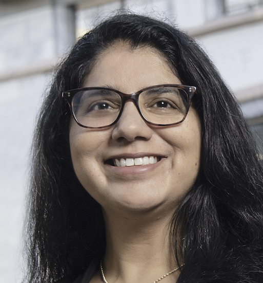 Prof. Seema Lakdawala