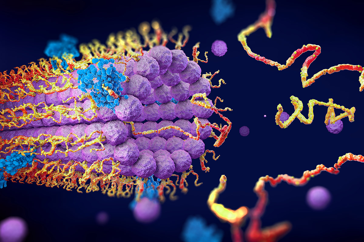 Proteins folding into their three-dimensional structure, illustration