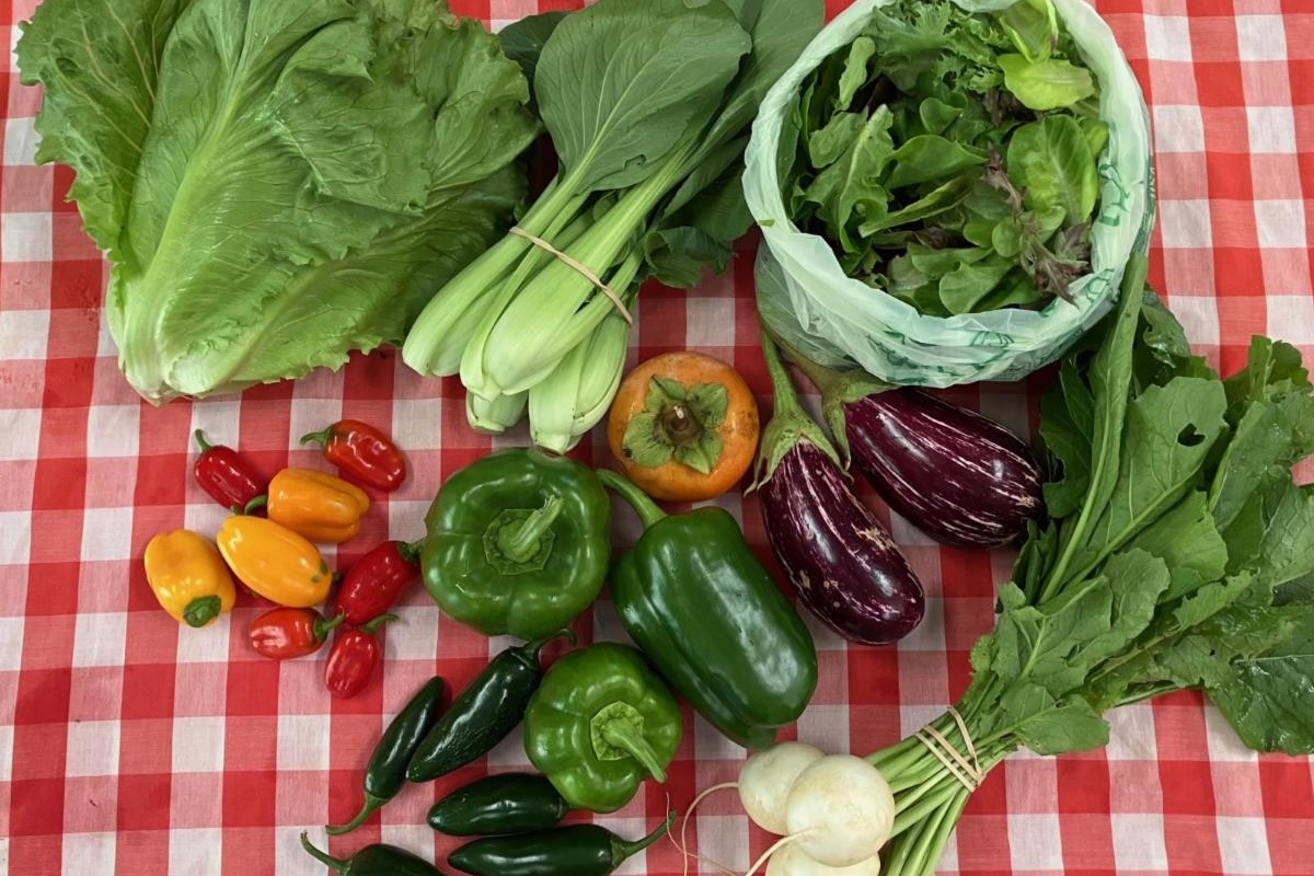 vegetables from Oxford farm