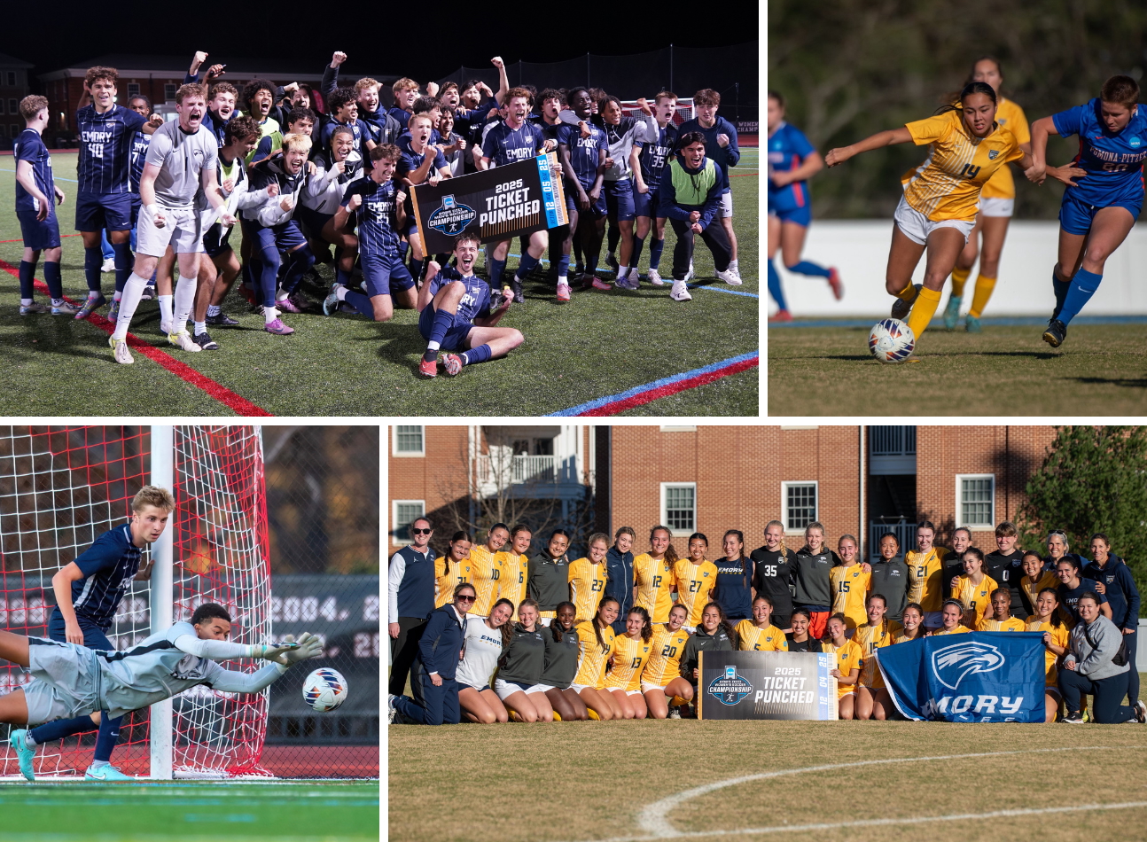 men's and women's soccer teams