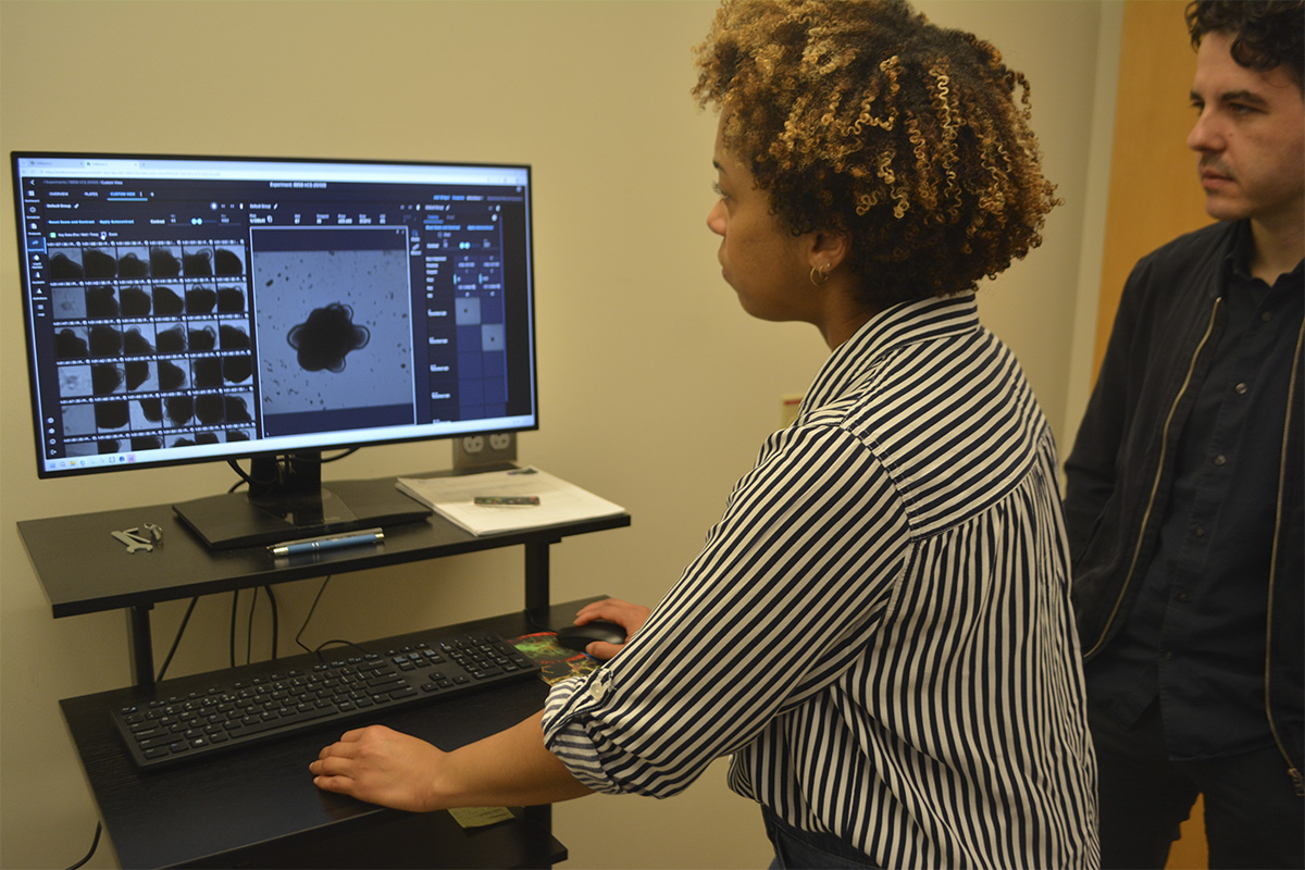 looking at scientific imaging results on computer screen