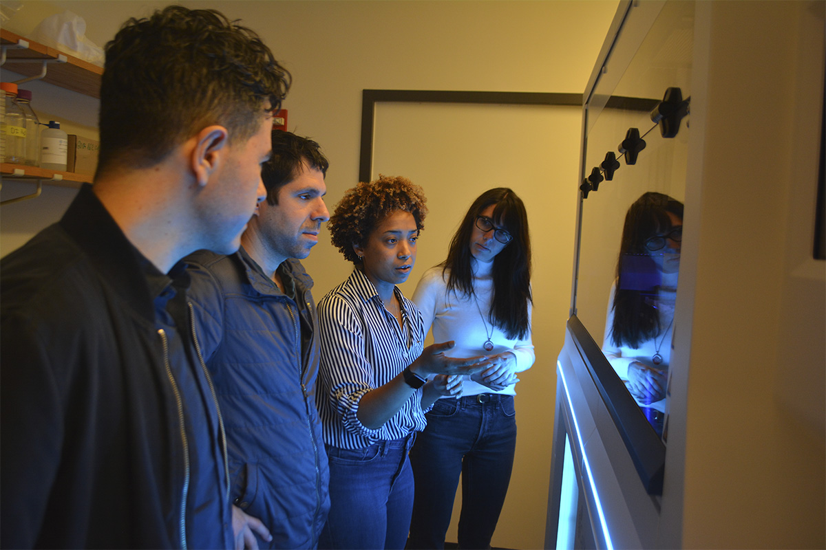 New automated cell culture system facilitates advanced organoid research