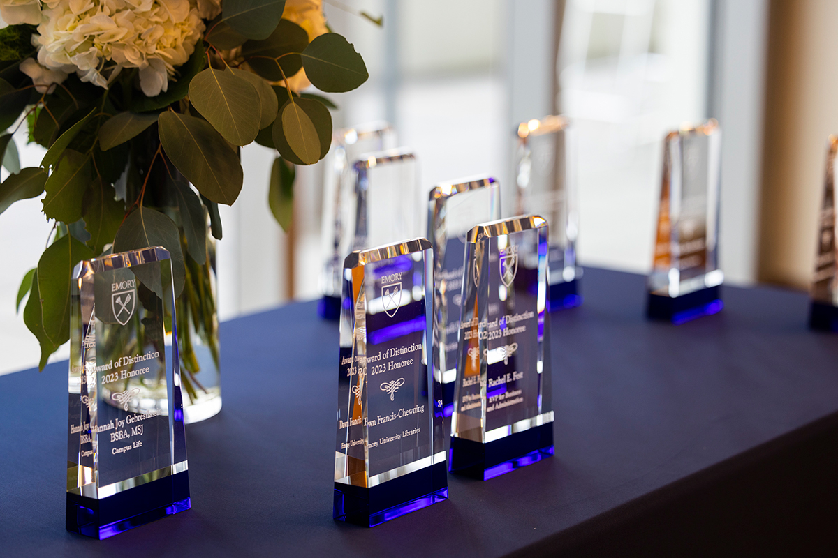 Image of the awards, which are engraved crystal