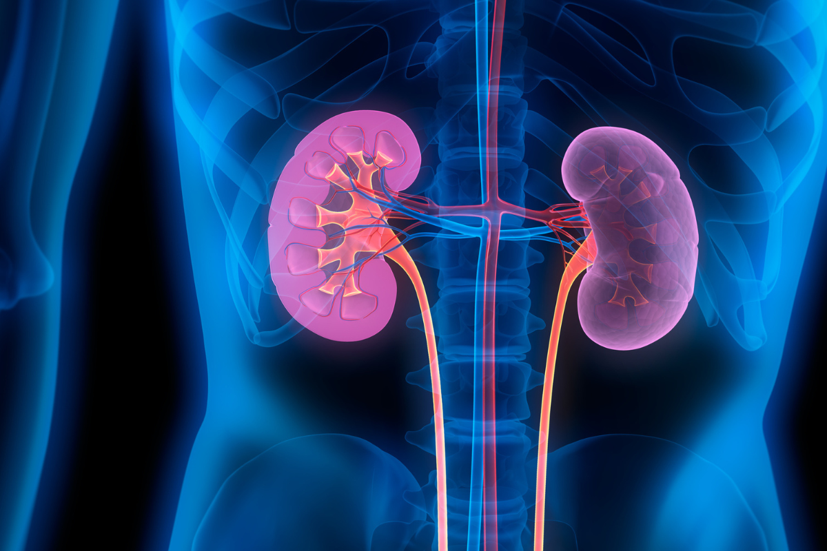 Emory Healthcare sets record-breaking number of kidney transplants nationwide