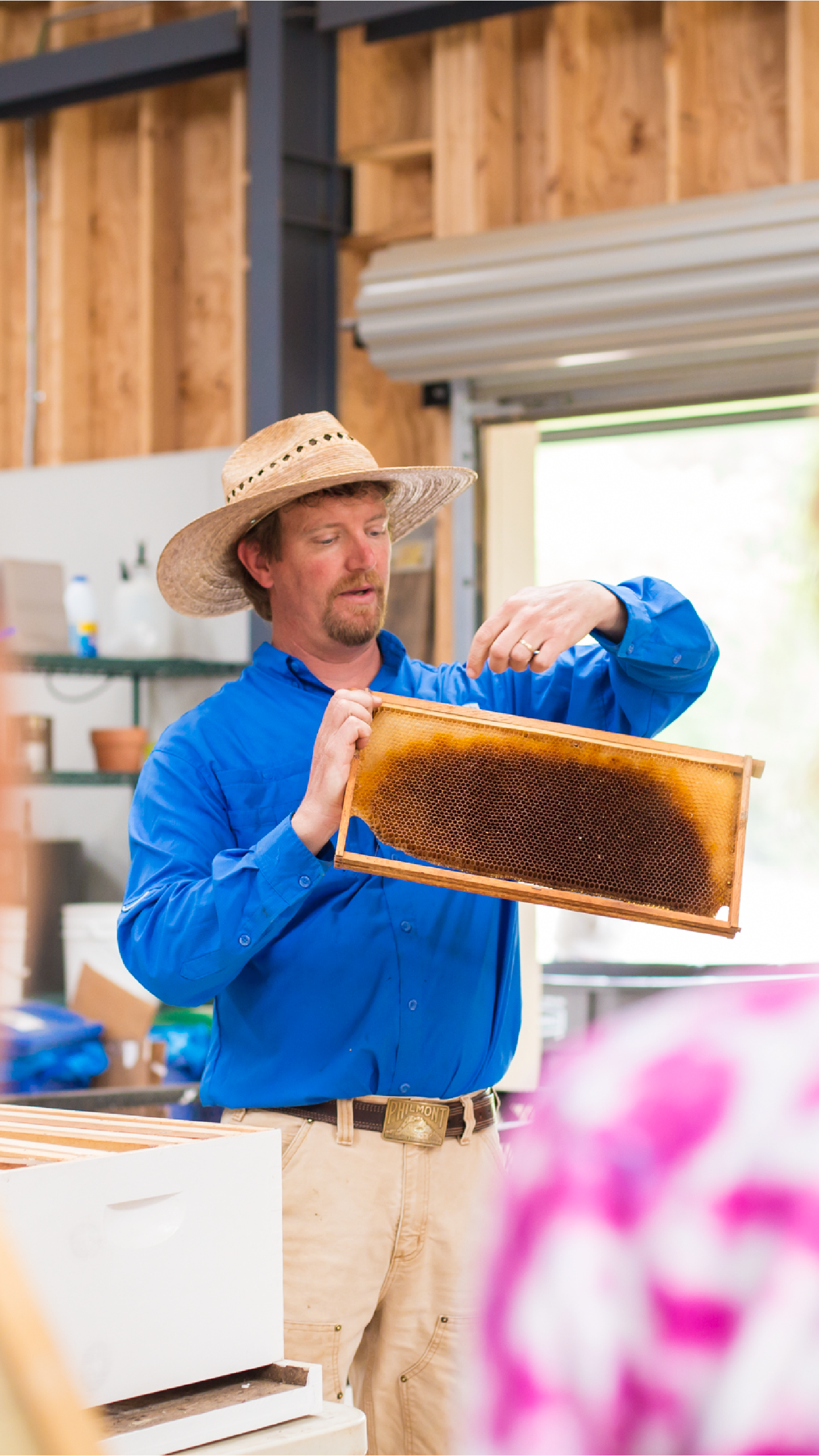 Oxford farmer Daniel Parson with a honeycomb