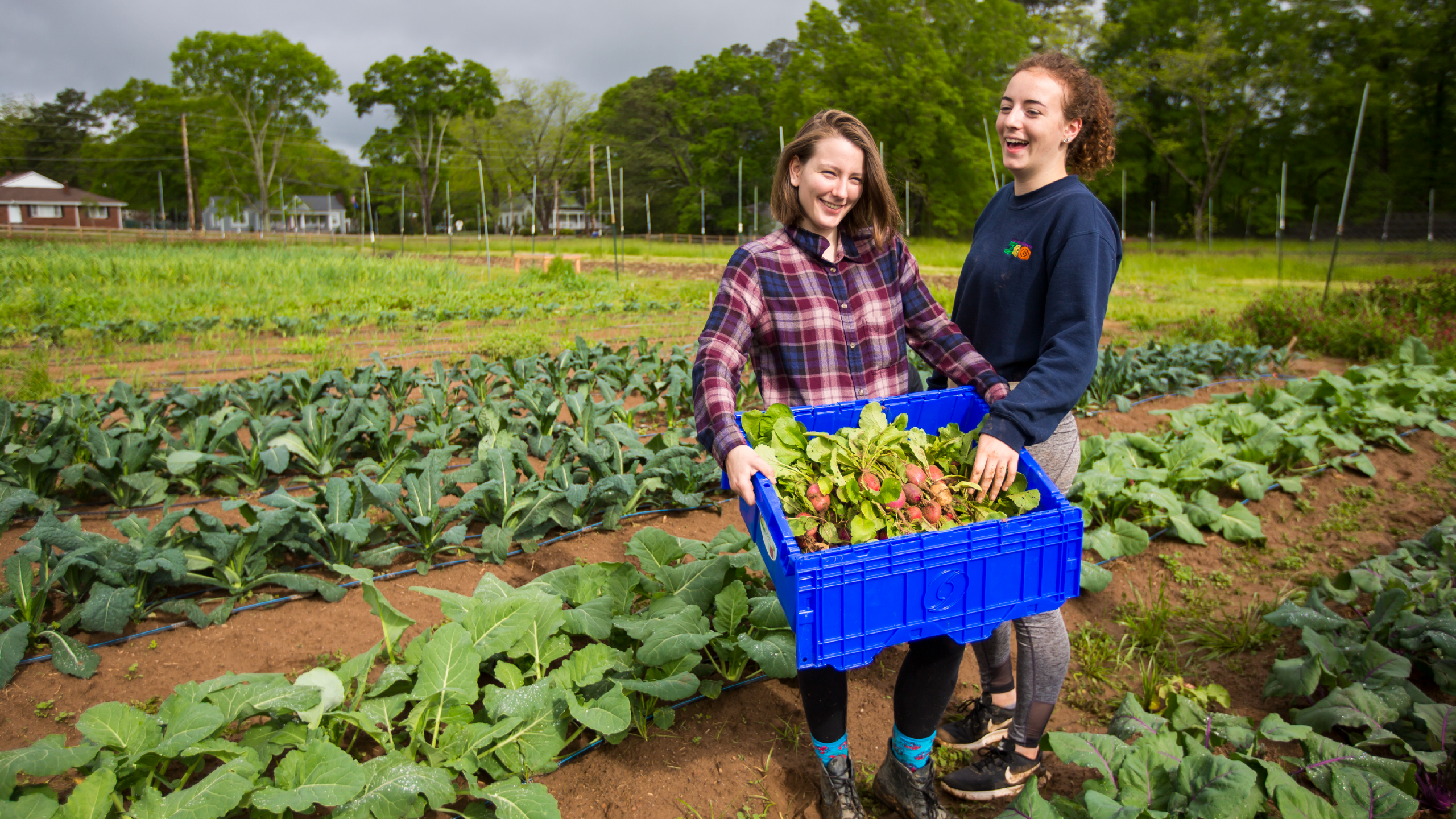 Two students working on the farm
