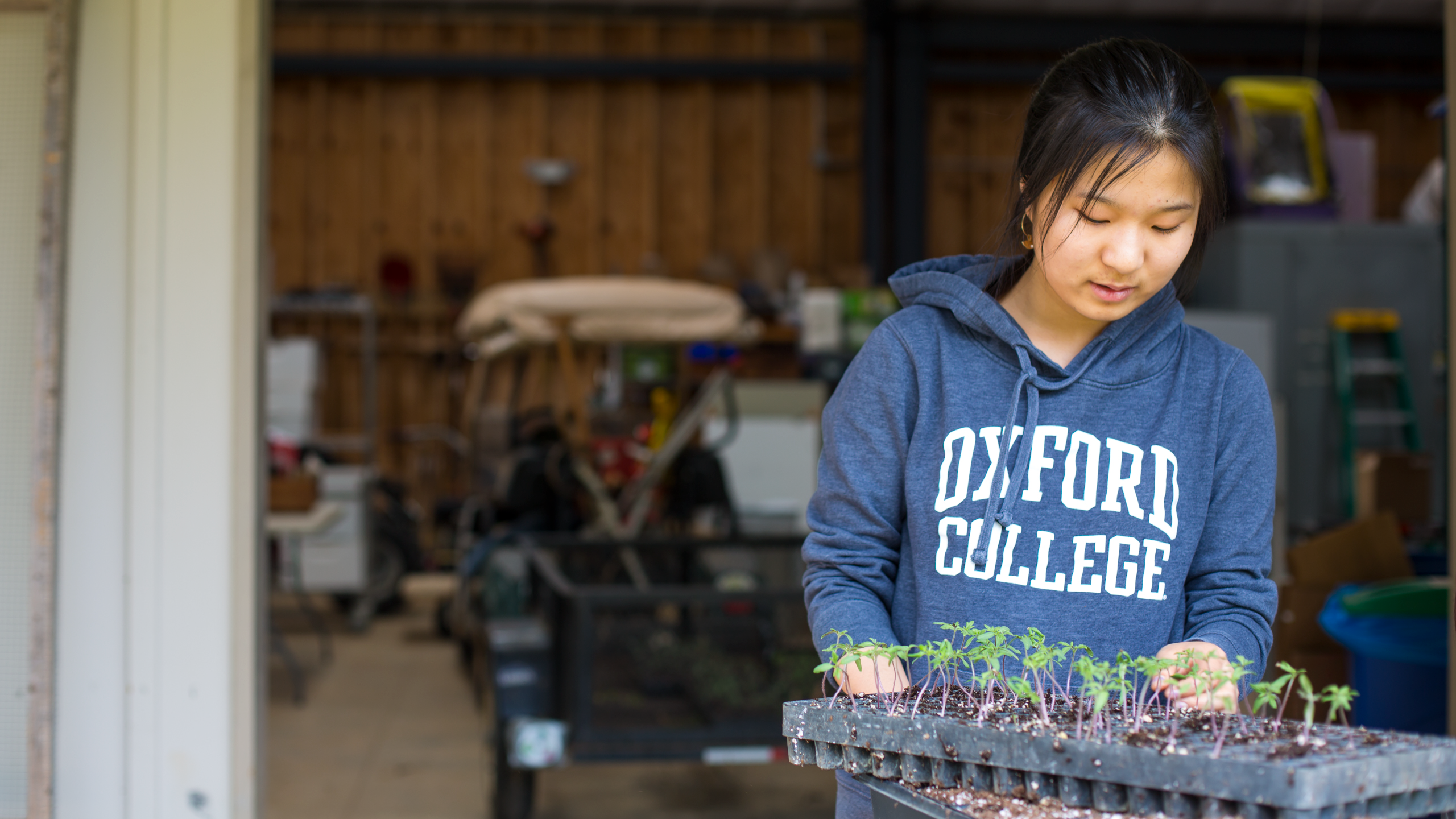 A student works with plants