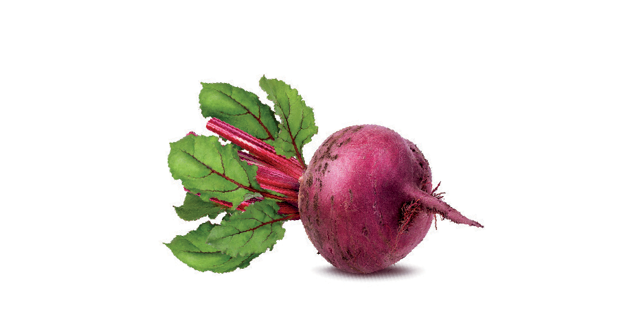 A vegetable on a white background