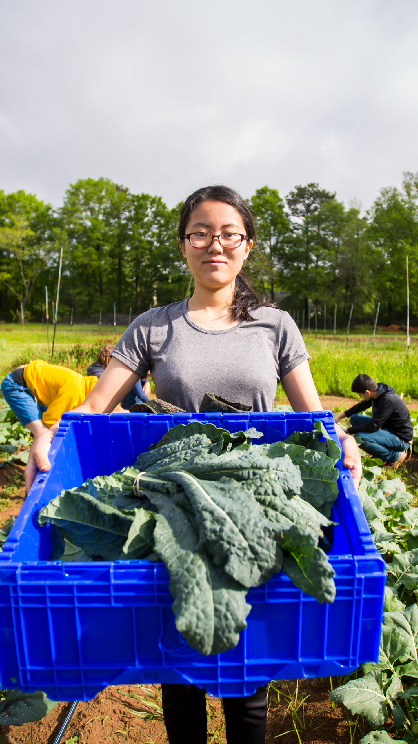 A student picks greens