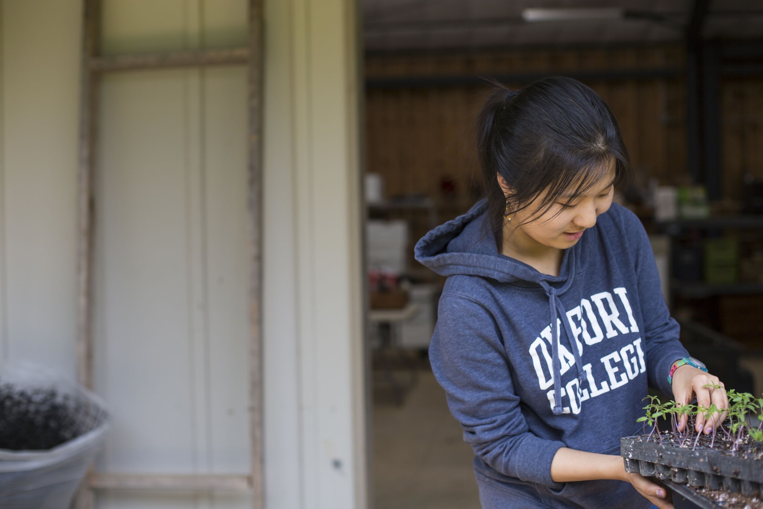 A student works with plants