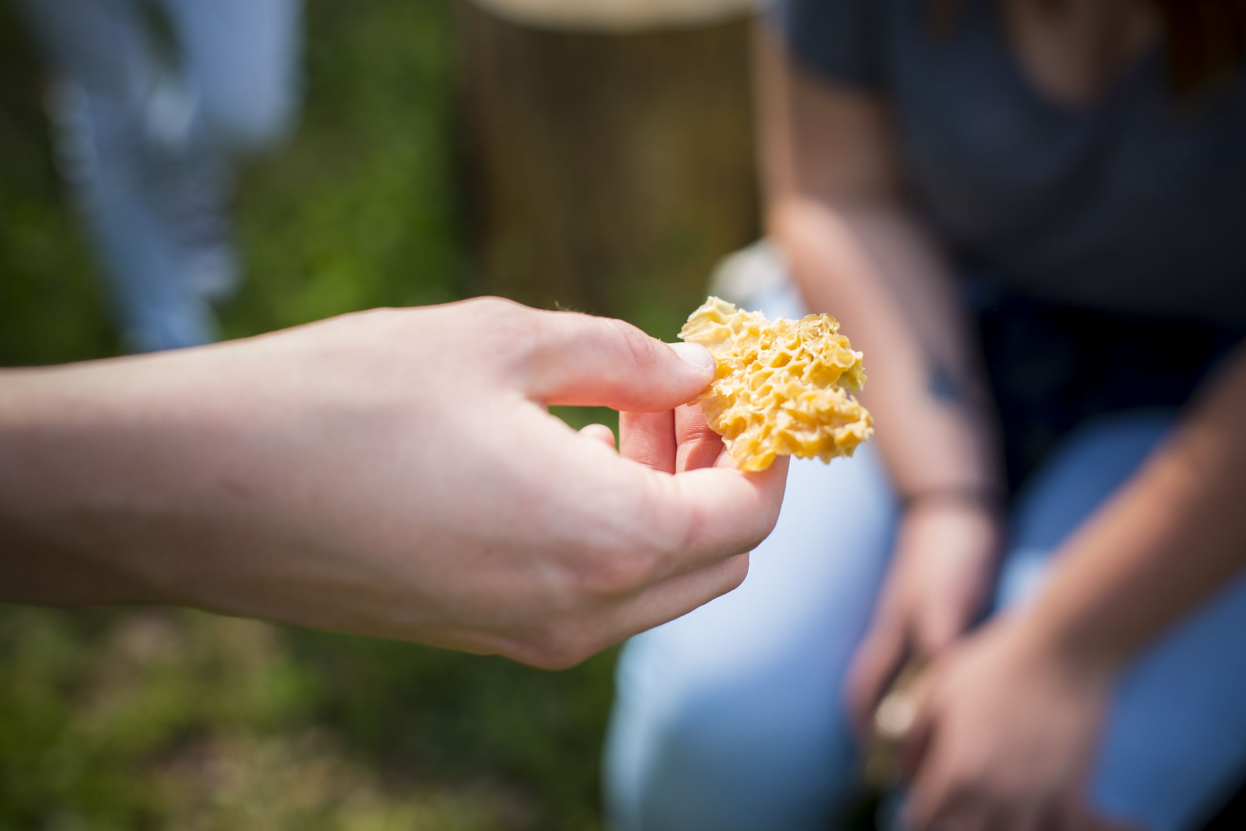 A student works with honeycomb