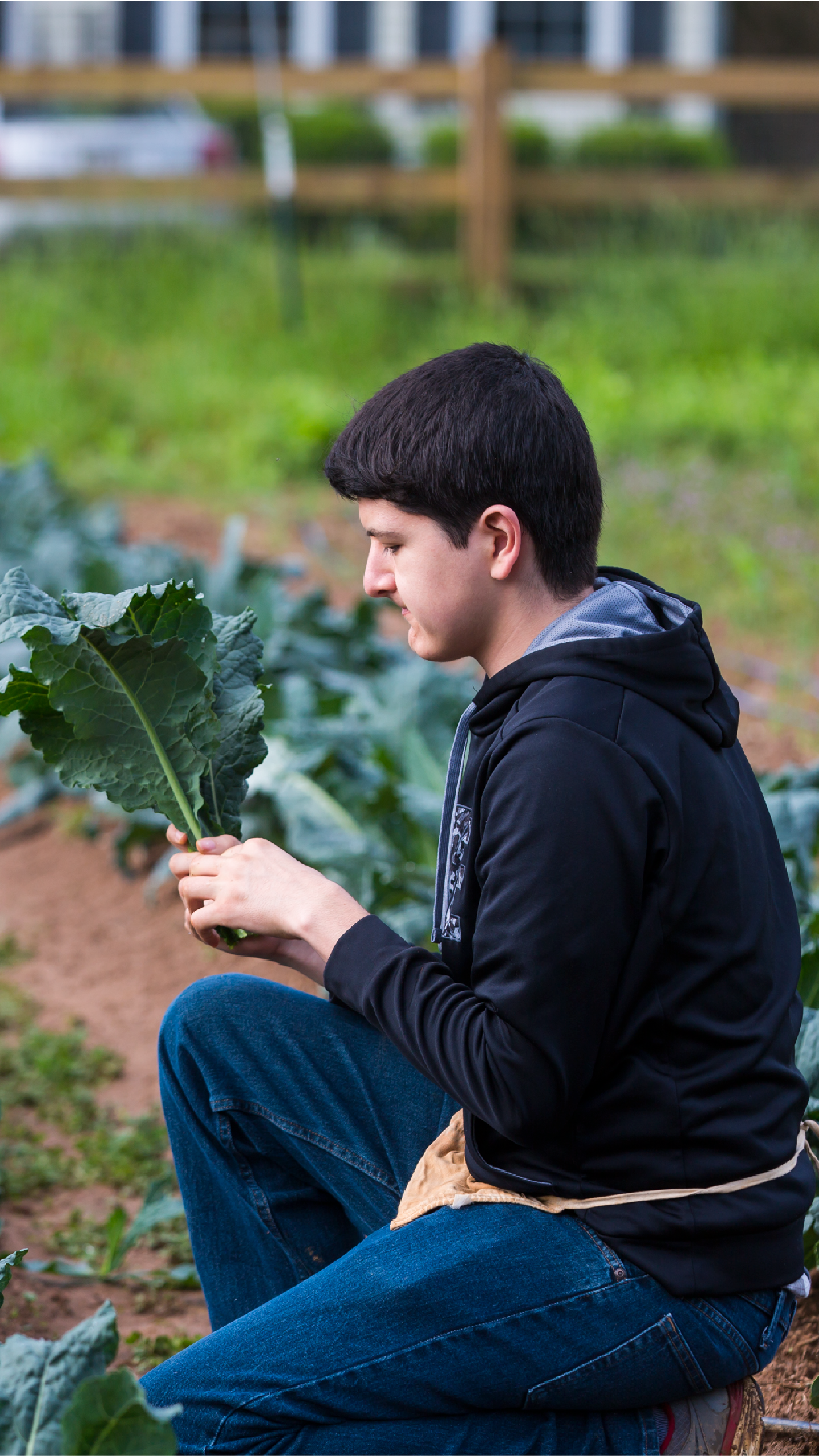A student picking leafy greens